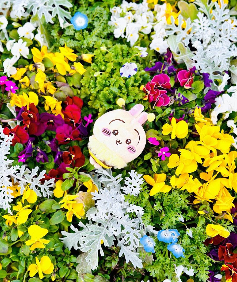 しぽぽ೨⁾⁾ tweet media