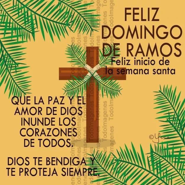 SERGIO BASAÑEZ tweet media