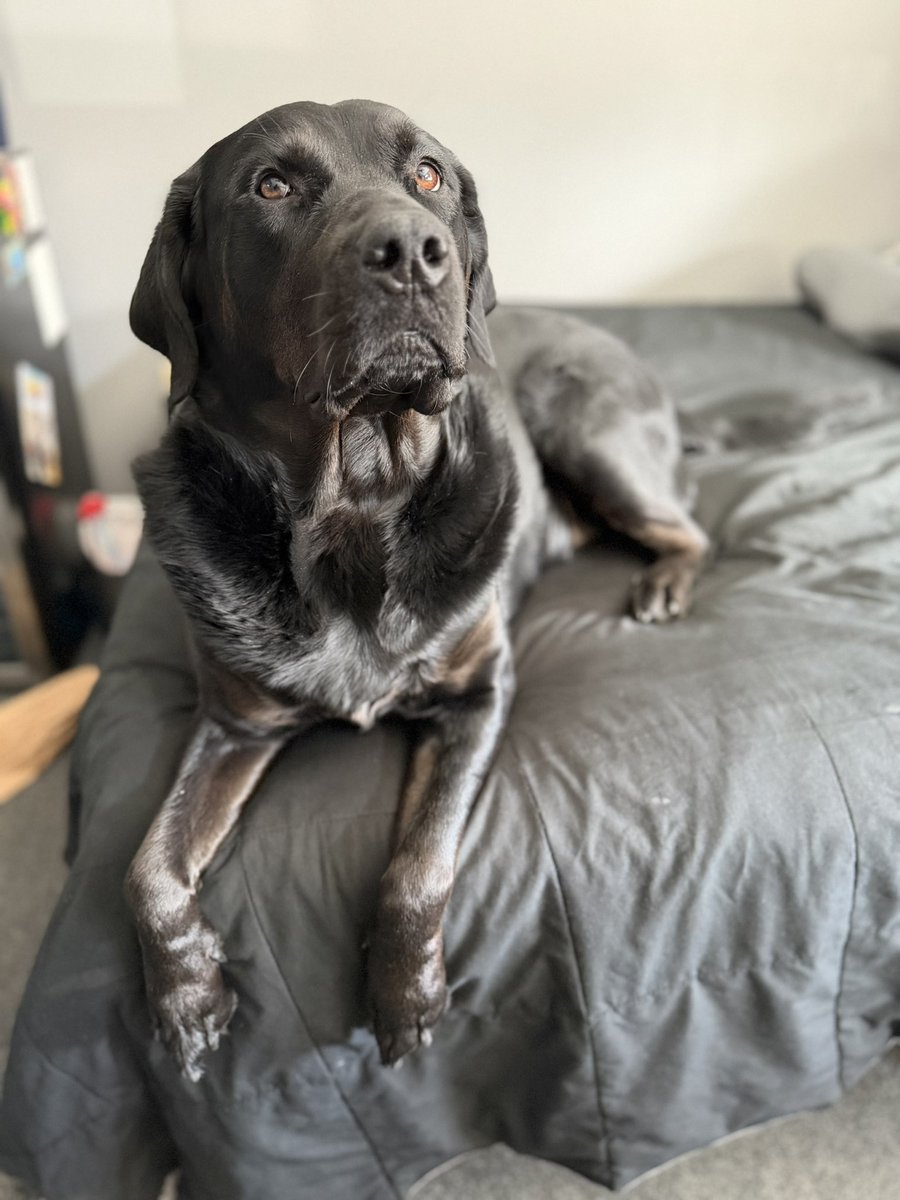 The prettiest girl ❤️