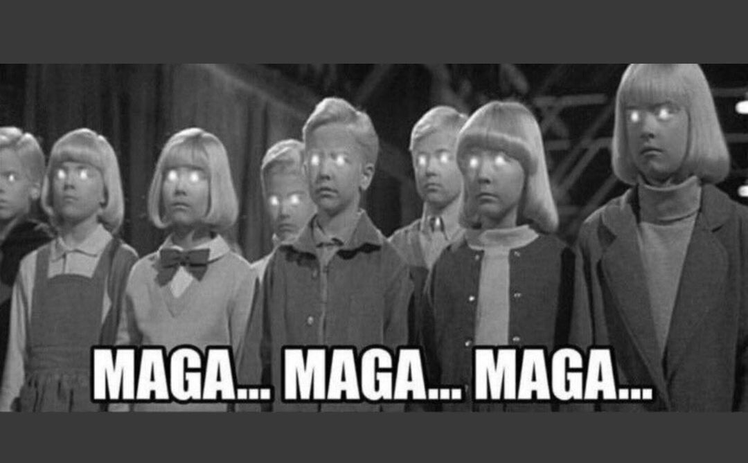 🔥Toonces Resists Again🔥 tweet media