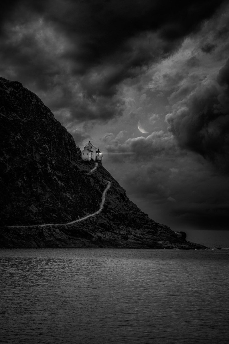 Øyvind Vigdal tweet media