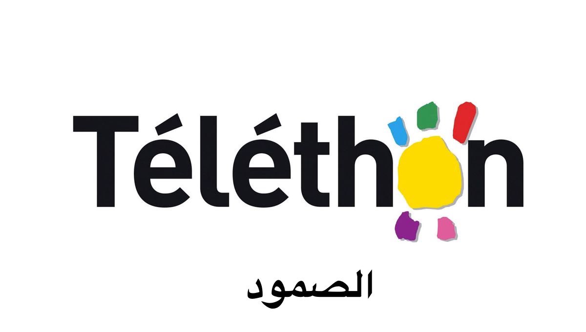 Rania Ramy tweet media