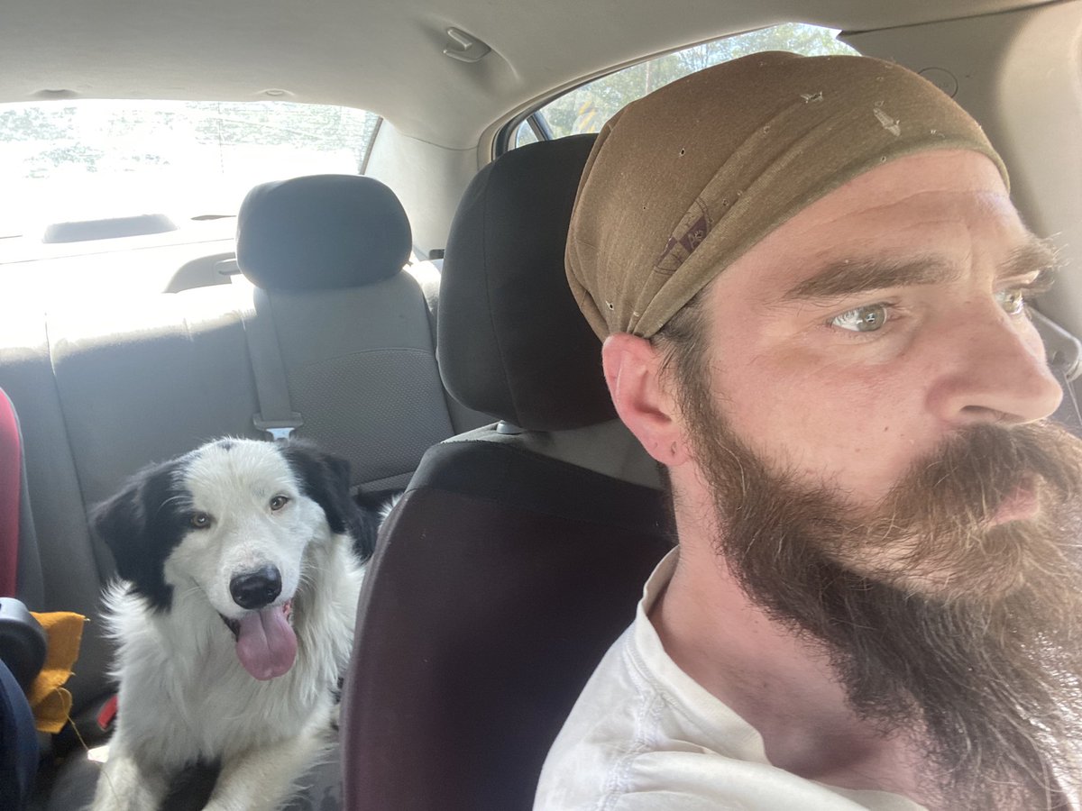 TheThermonuclearWasteland tweet media