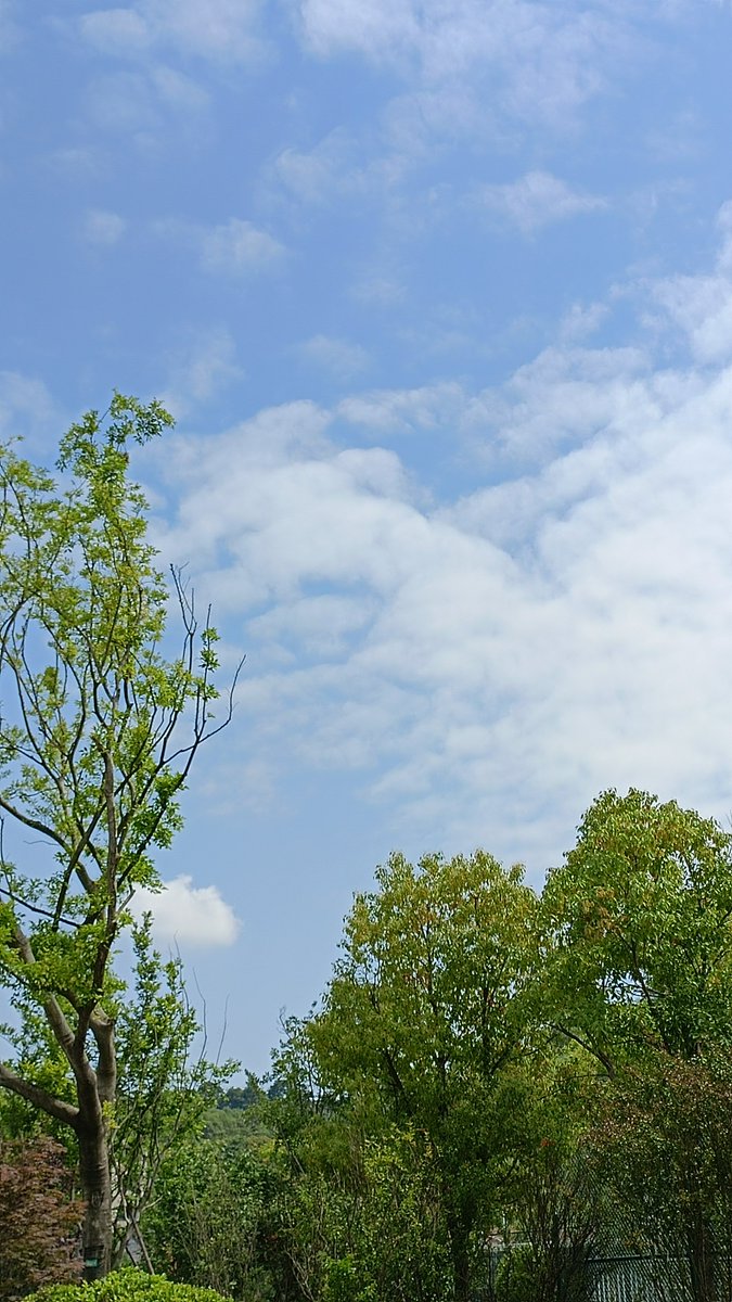 christianepagn1's tweet photo. Community Garden Workday! Join us this Sat, 10 AM-1 PM at Maple Park to plant veggies, add mulch, and bond with neighbors! Bring gloves + a reusable water bottle. Snacks provided! Let’s grow together—tag a friend who loves green thumbs! #MapleParkCommunity #GrowLocal https://t.co/XvOozUEacW