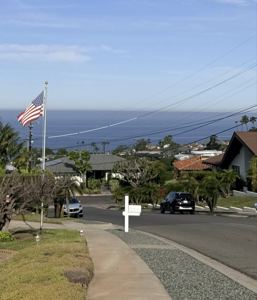 Tyler Bindi tweet media