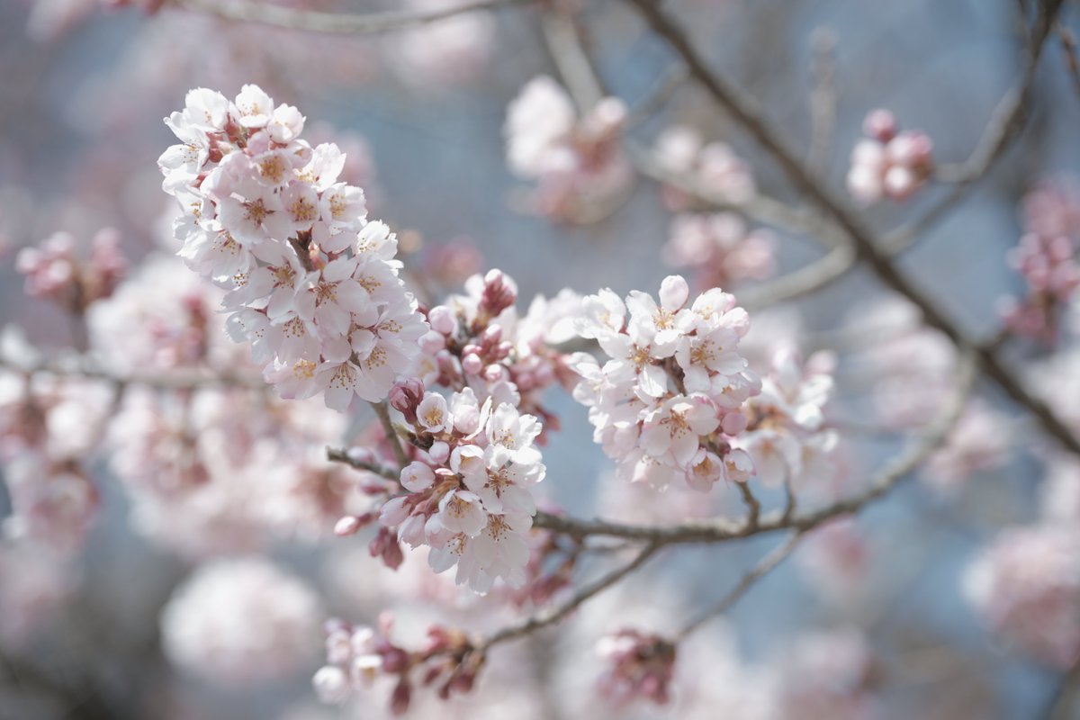 alpha★彡 tweet media