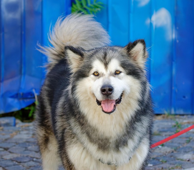 Johnathan West tweet media