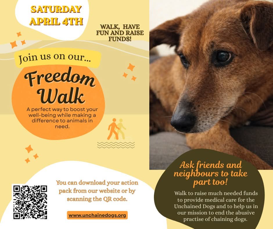 Unchained Dog Rescue tweet media