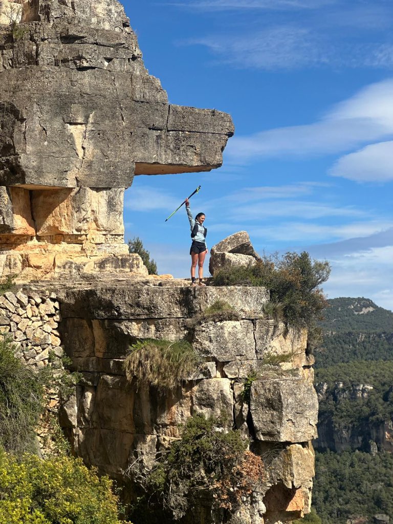 aamp.cat tweet media