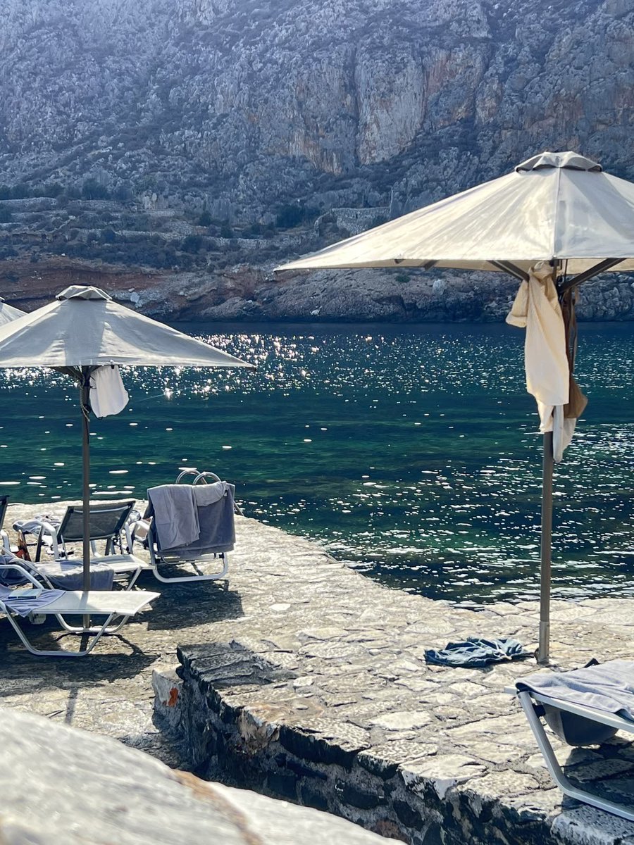 EdenOnEarth tweet media