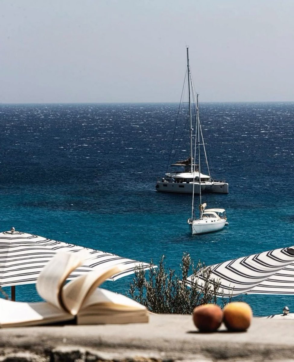 EdenOnEarth tweet media