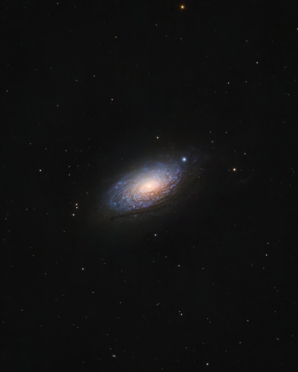 🔭AstroBackyard tweet media