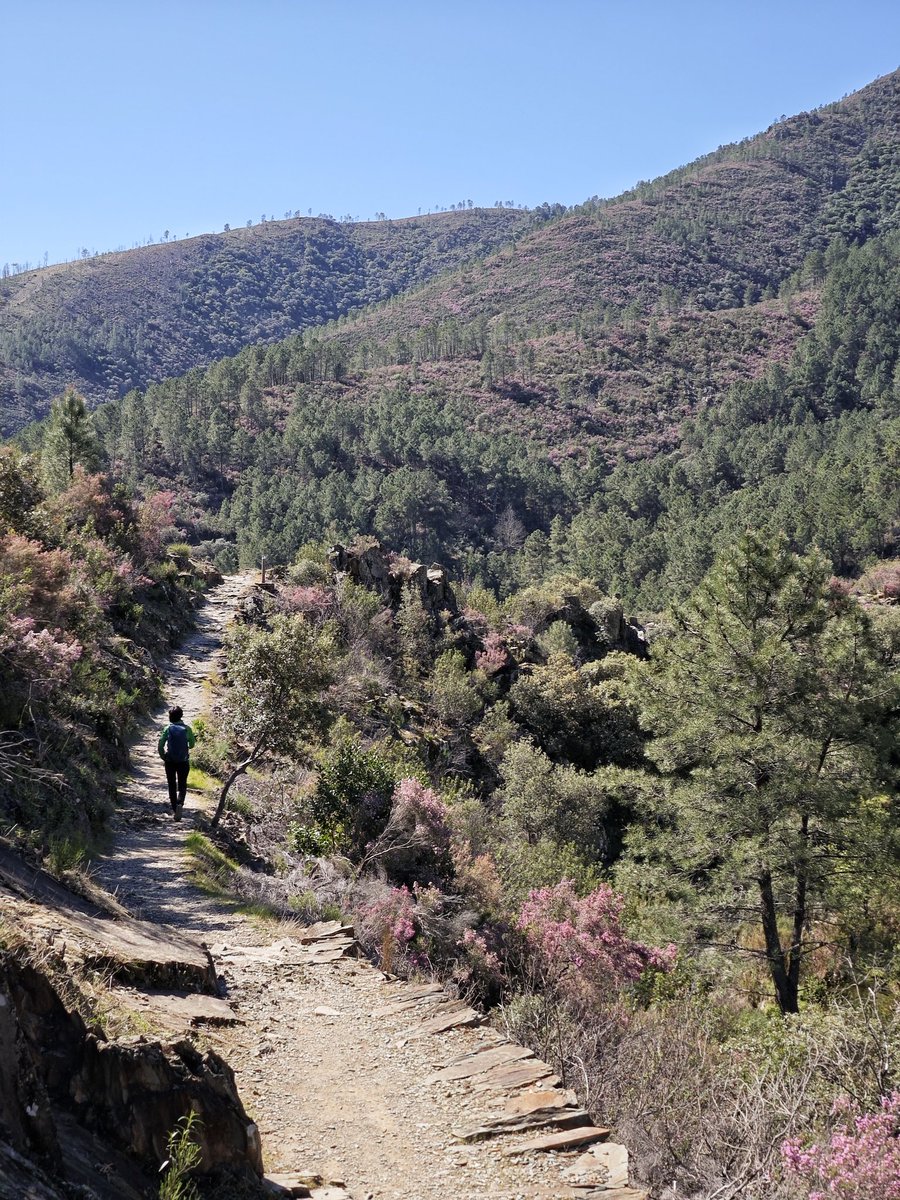 Al Filo Infrüngible tweet media