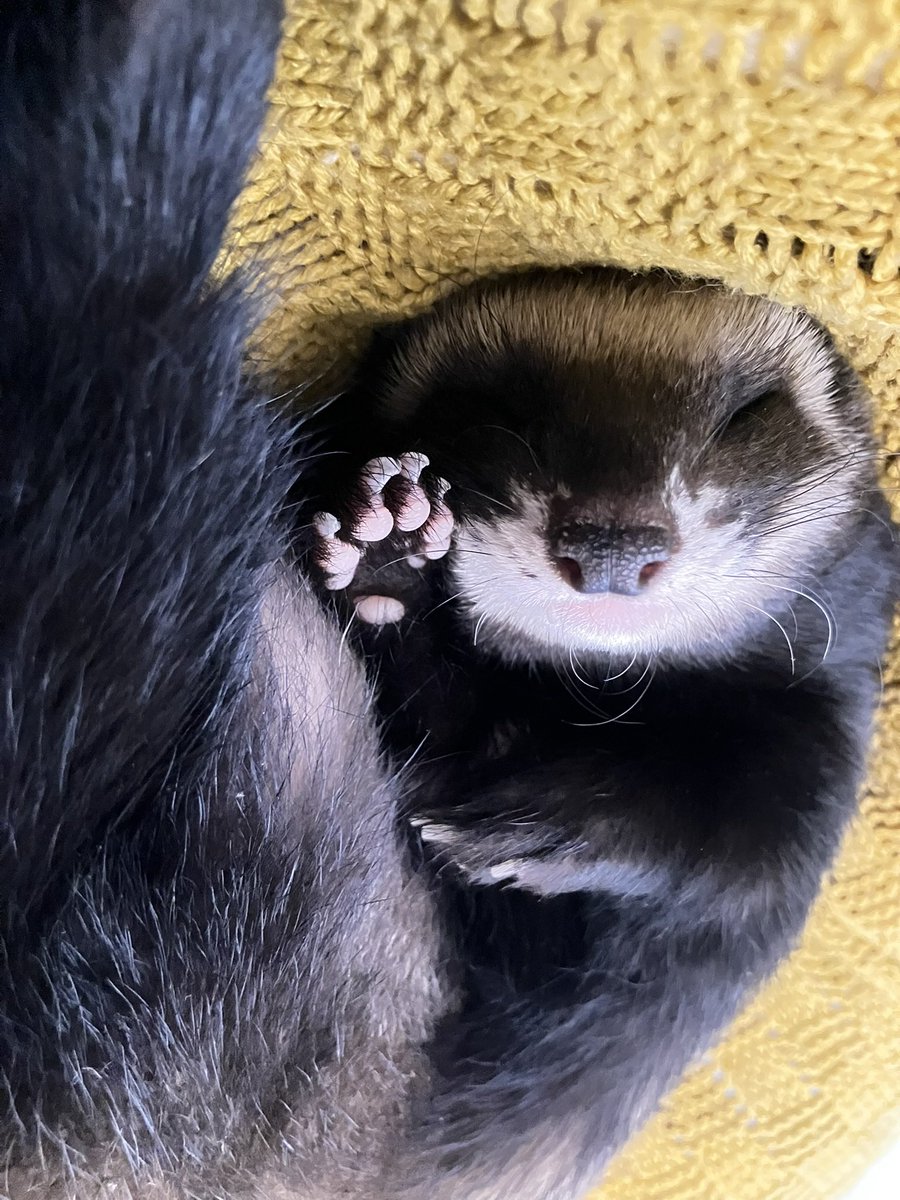 CaliCeri tweet media