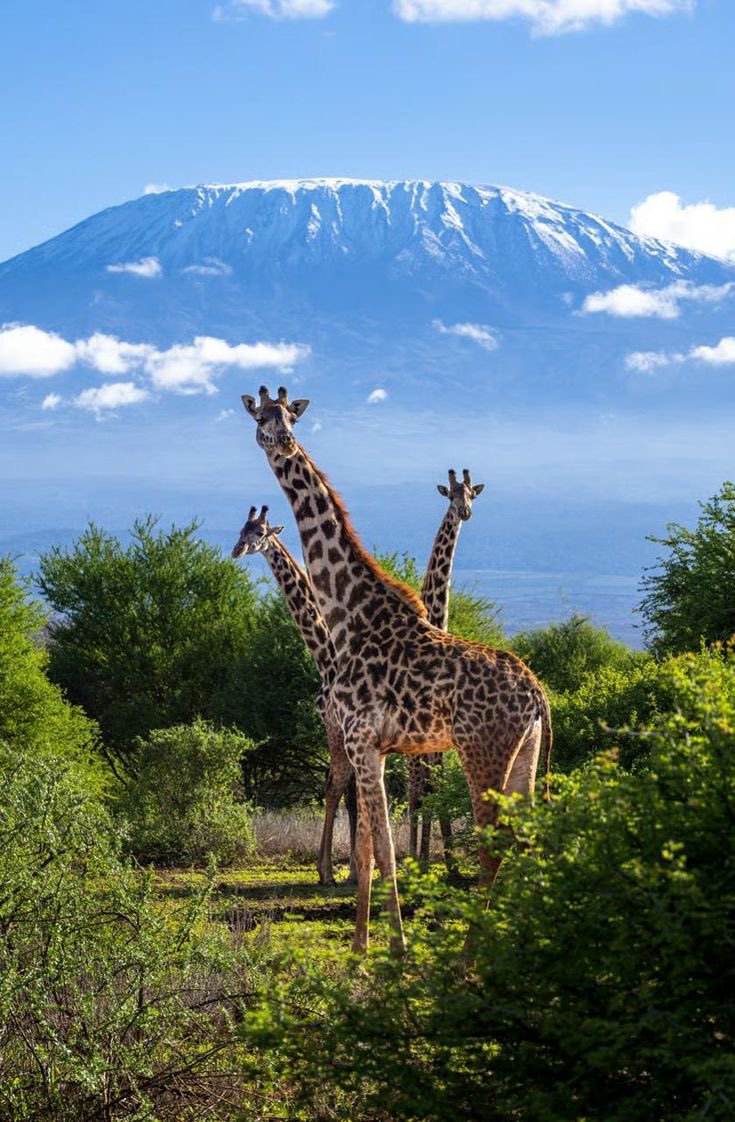 Explorer Of Moments tweet media