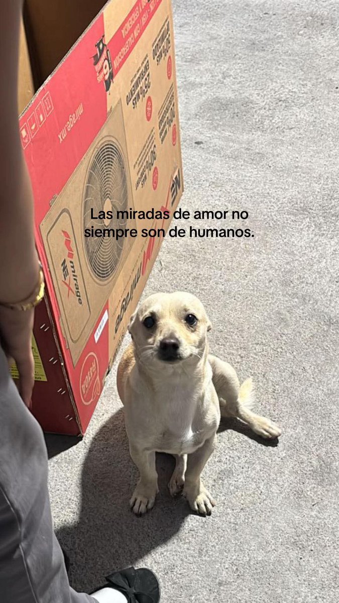 En Júpiter tweet media