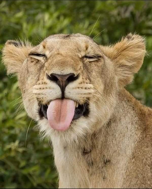 𓂂 𓏸 𓋜 tweet media