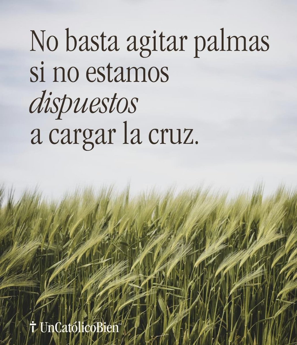 Un Católico Bien tweet media