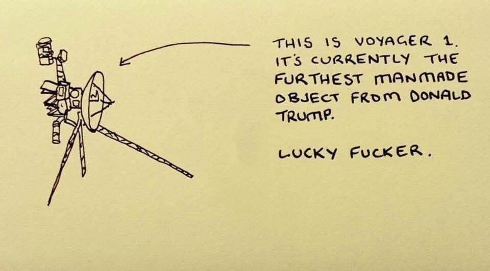 Littlewisehen tweet media