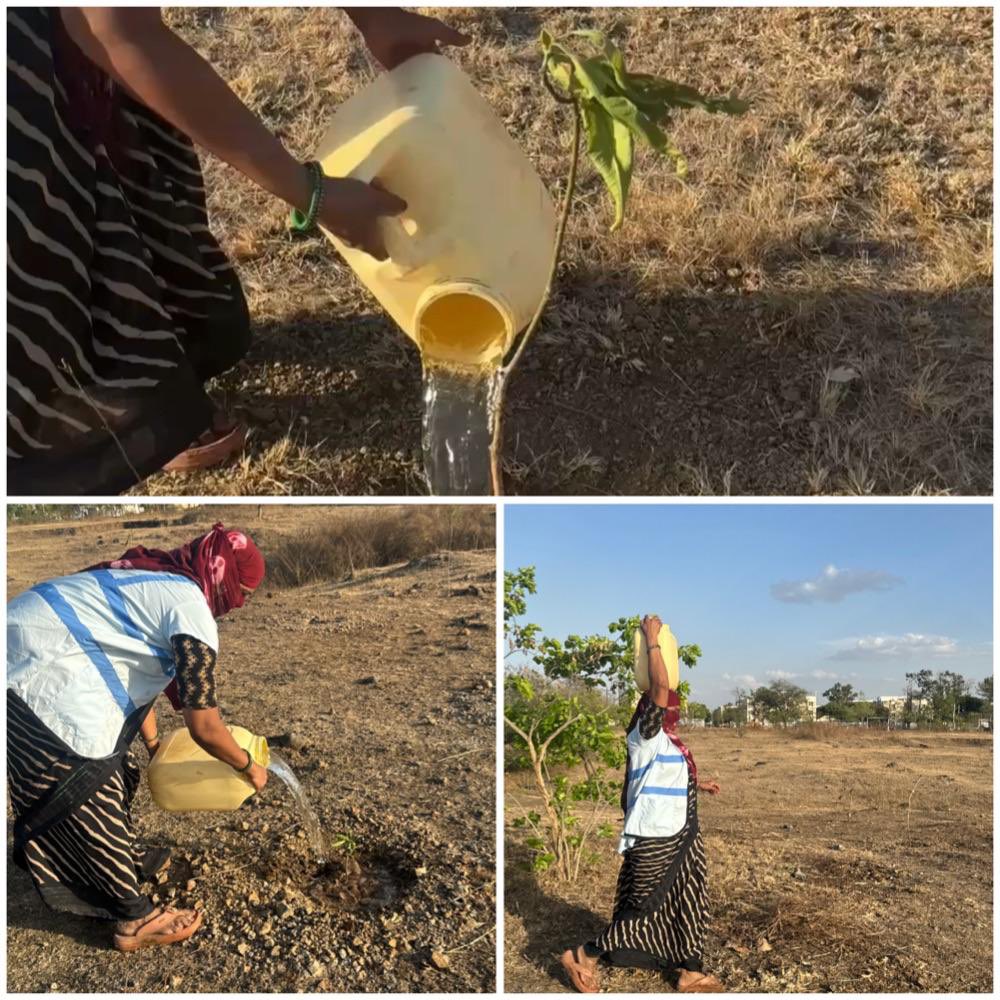 MPAMRUT2's tweet image. अमृत मित्र महिलाएं बन रही हैं पर्यावरण संरक्षण की सशक्त पहचान। सूखी धरती पर हरियाली लाने का उनका यह प्रयास नारी शक्ति और प्रकृति के अद्भुत संगम का प्रतीक है। 🌳✨ #GreenFuture #WomenPower 🌍🌿