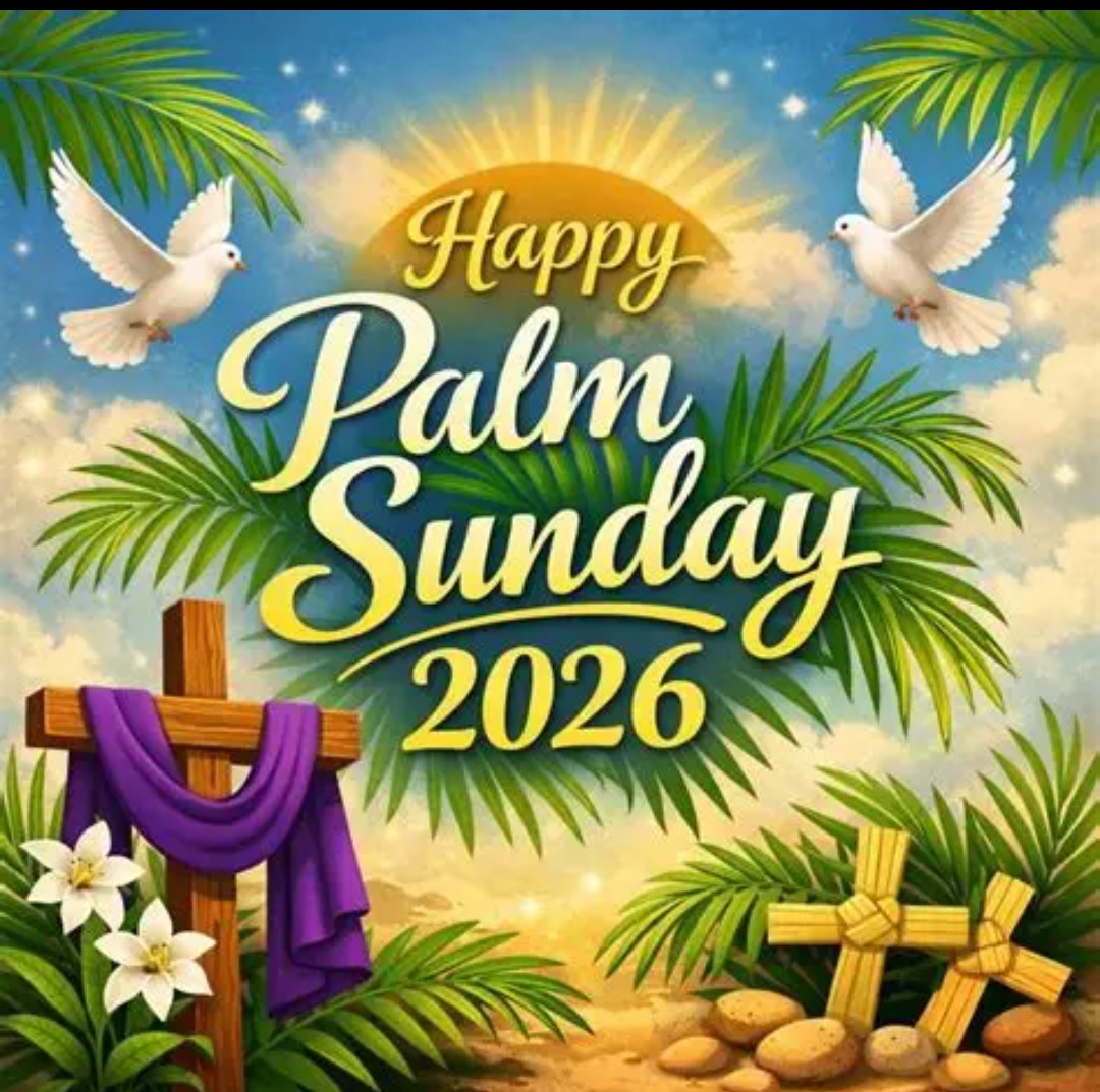 $JESUS OUTLAWZ tweet media