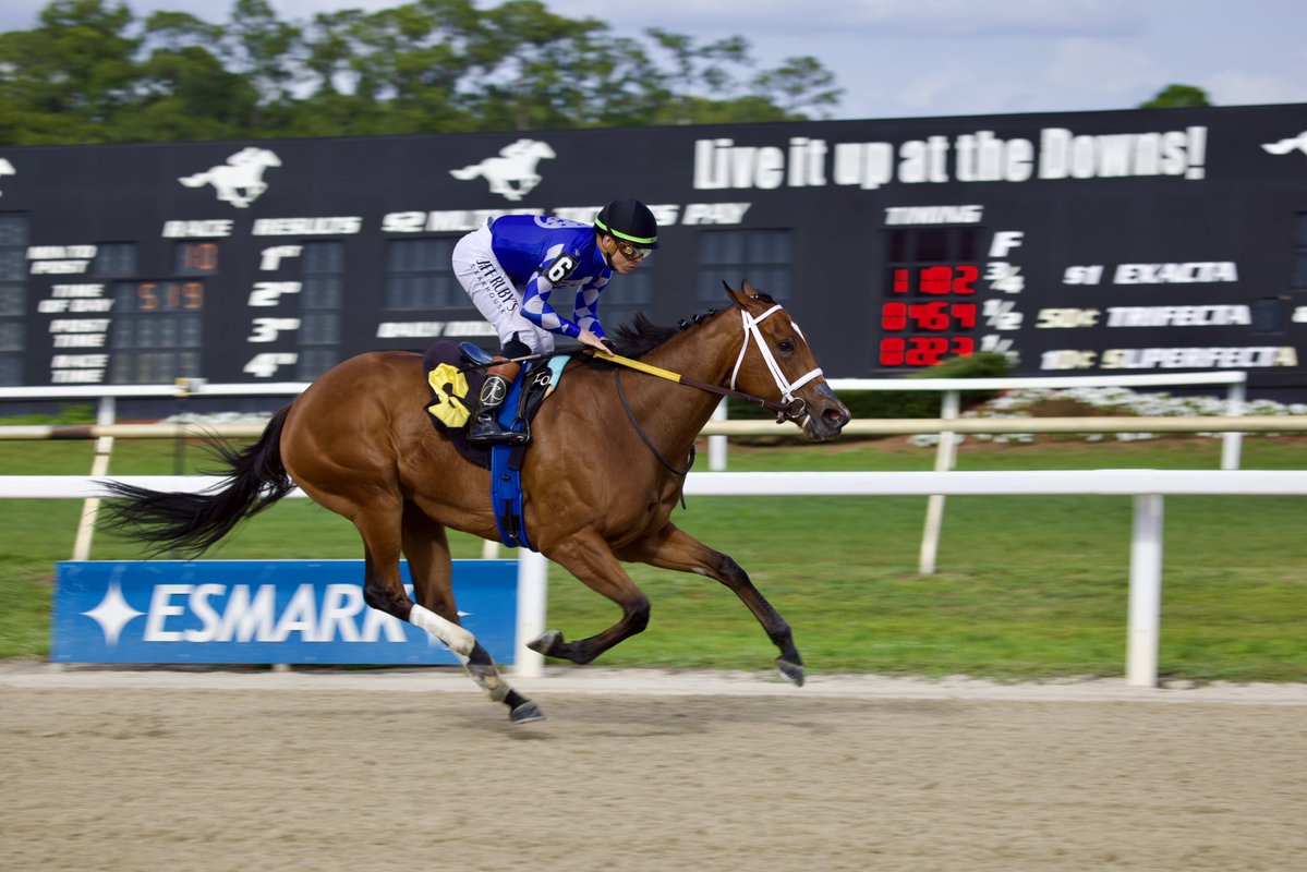 Tampa Bay Downs Official Account tweet media