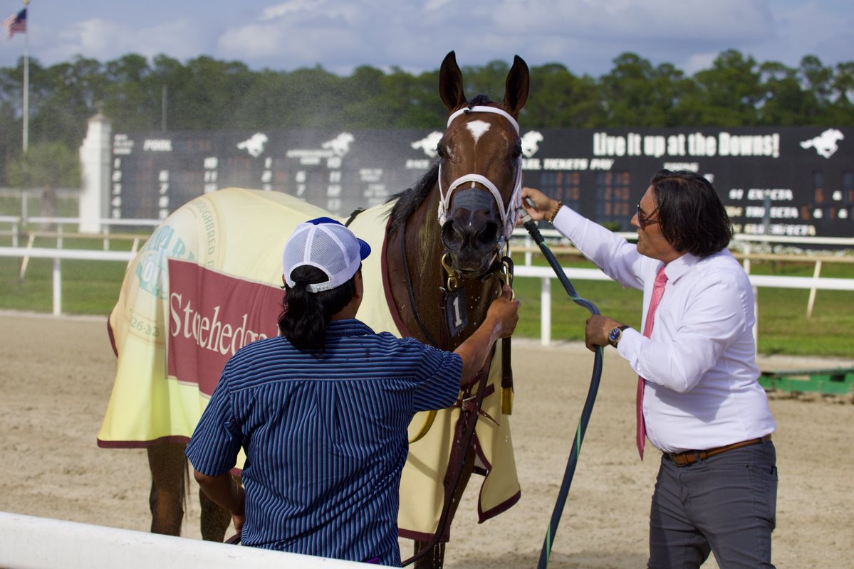 Tampa Bay Downs Official Account tweet media