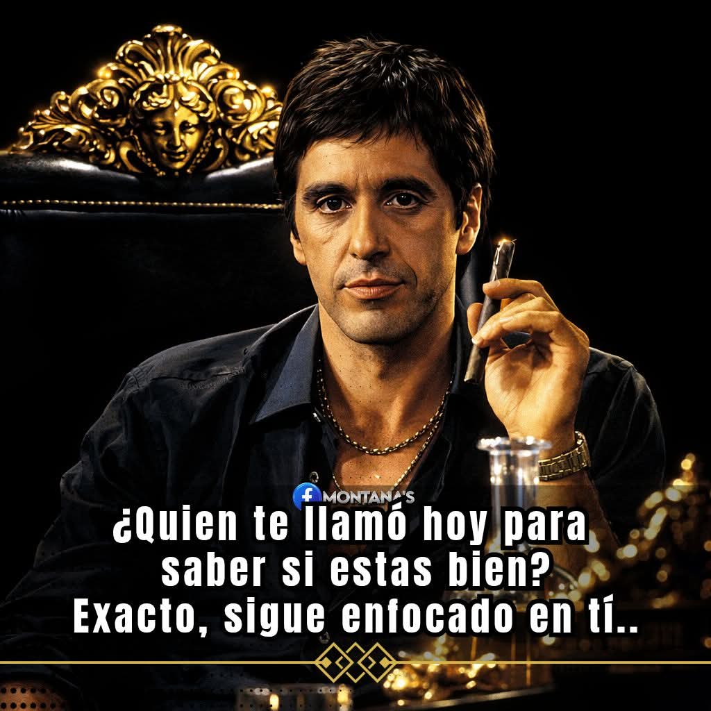 𝓟 𝓮 𝓭 𝓻 𝓲 𝓷 tweet media