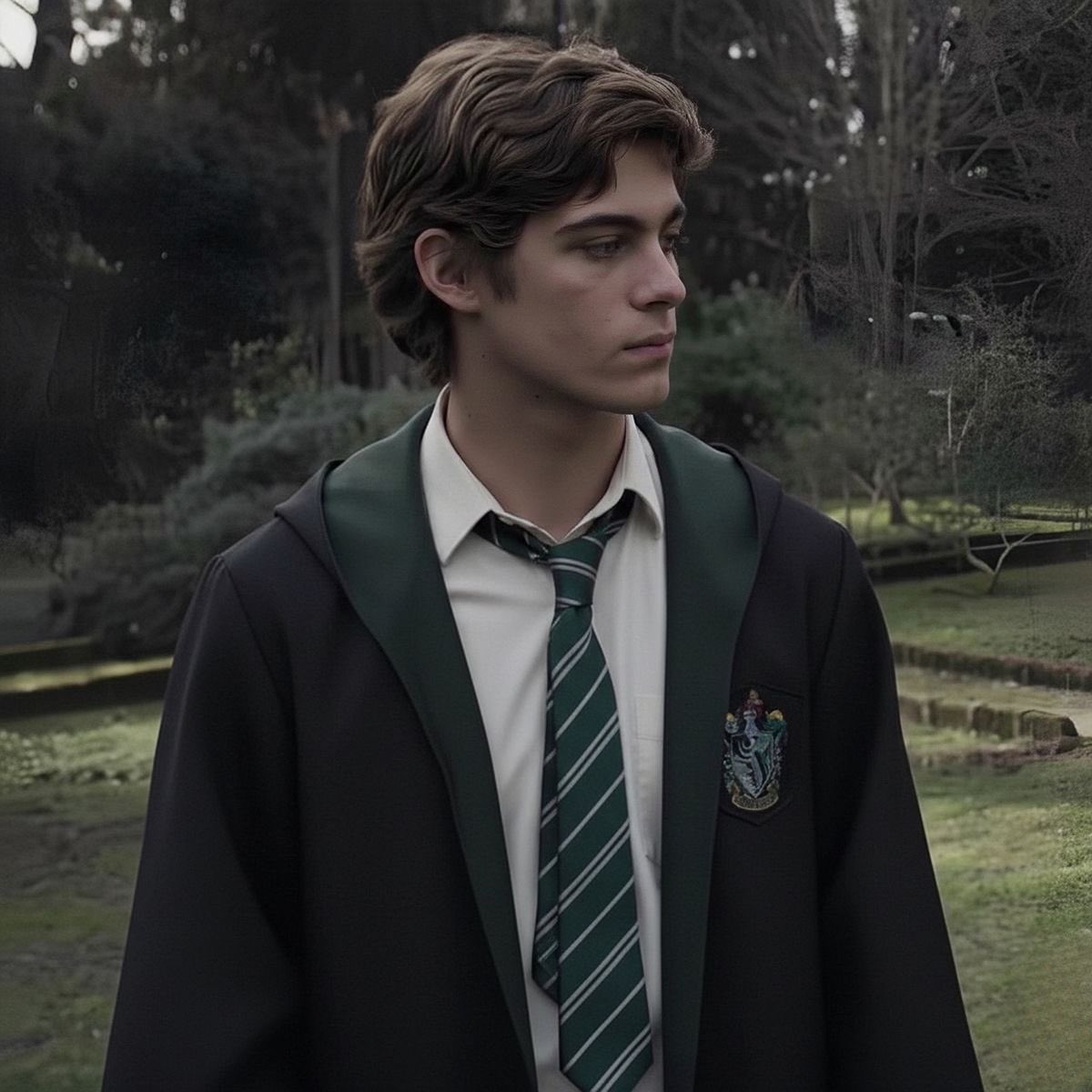 Acervo Theodore Nott tweet media