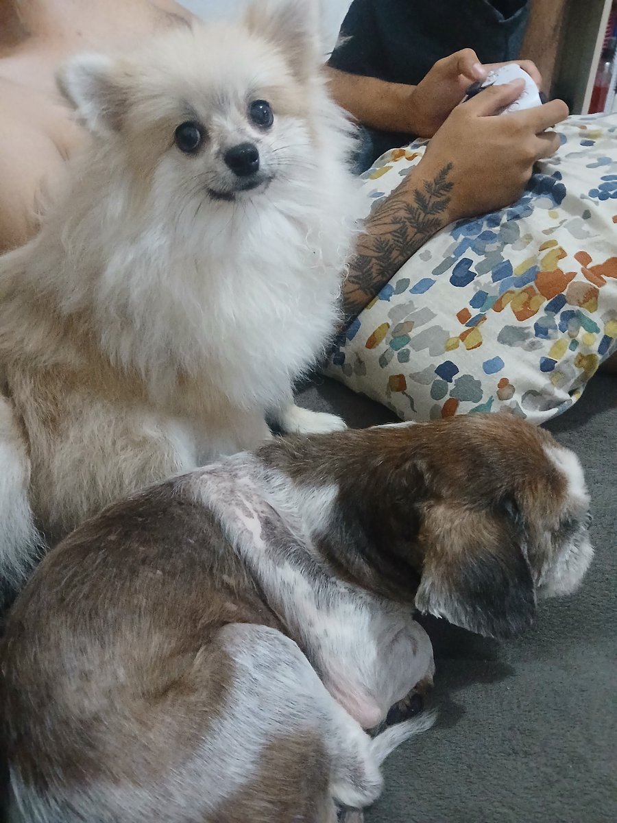 Marchielo 🌿 tweet media