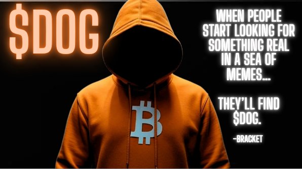 ₿RACKET 🧡 $DOG tweet media
