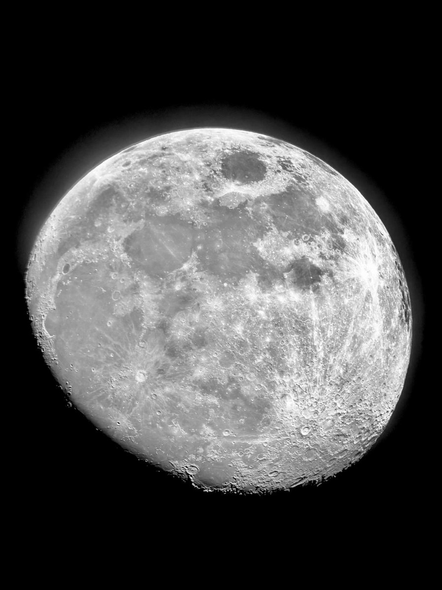 robin ✩ tweet media