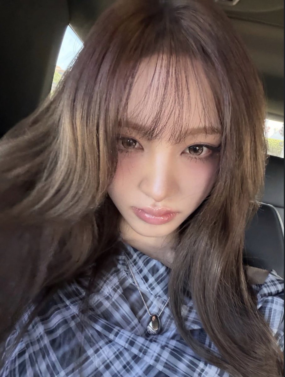 liz pics tweet media