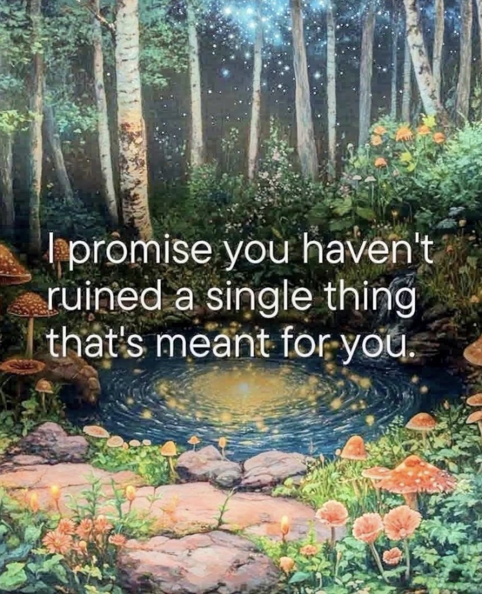 AbundanceMuse tweet media