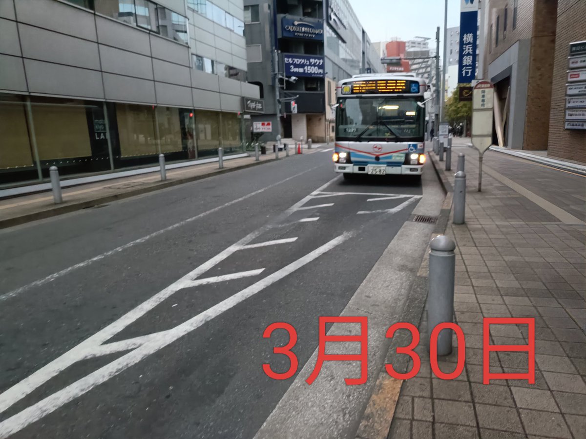 ひかる tweet media