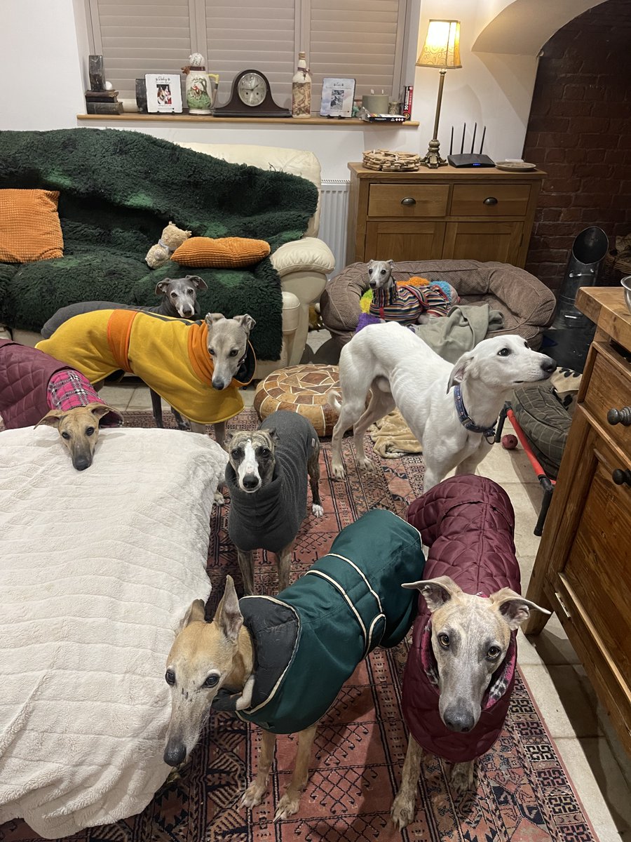 Kai 🌈& Co tweet media