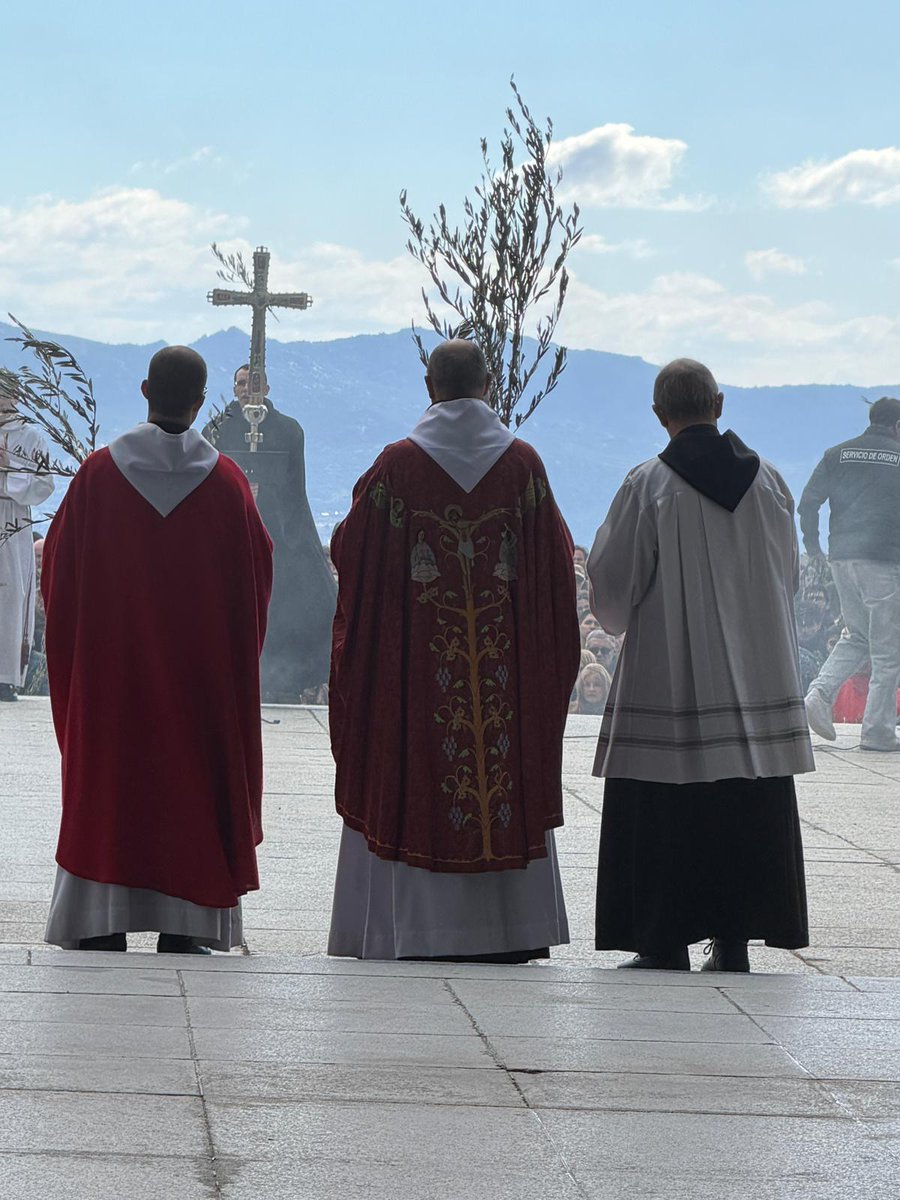 Borjabor Matandrinense🌲 tweet media