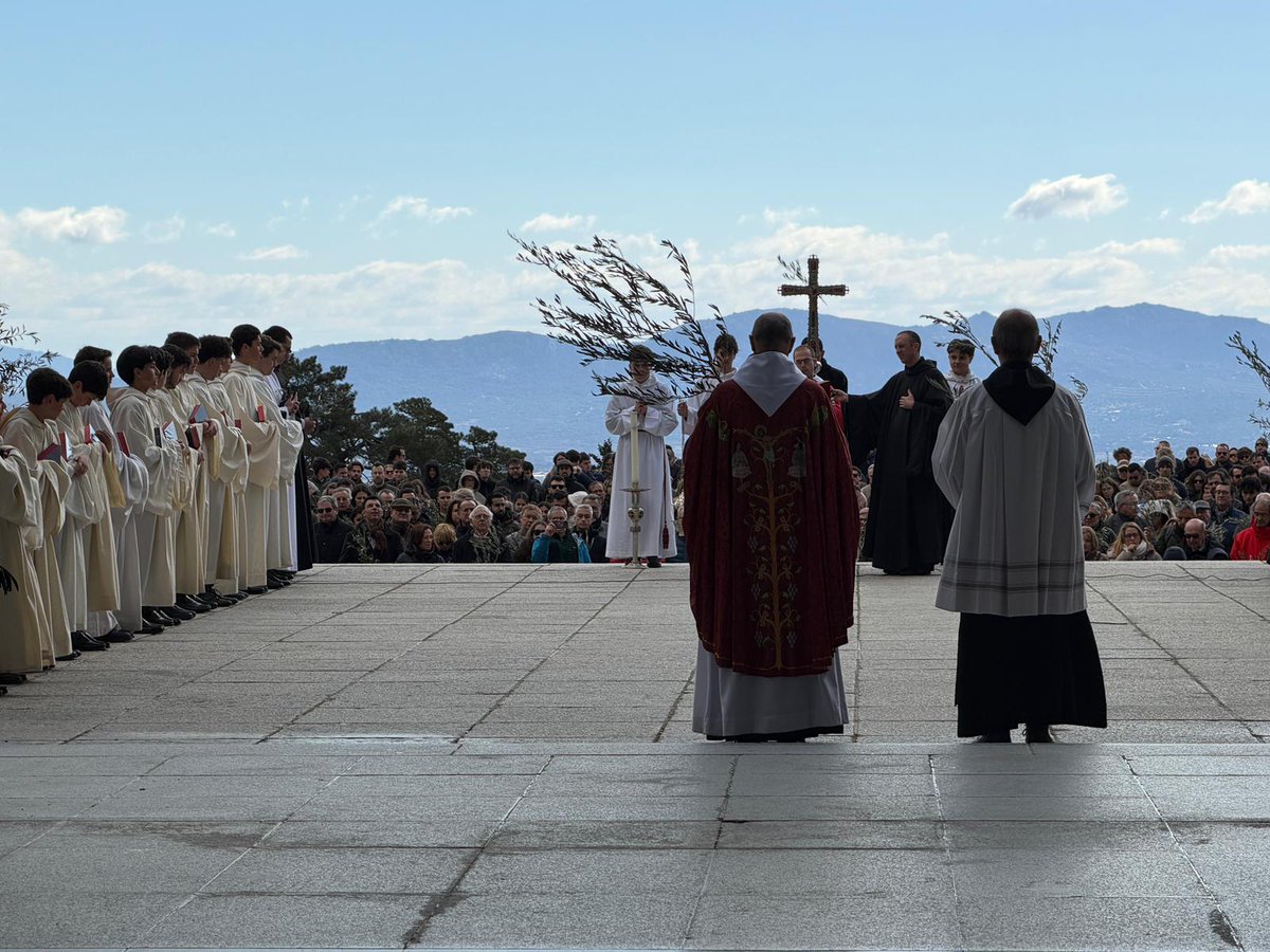 Borjabor Matandrinense🌲 tweet media