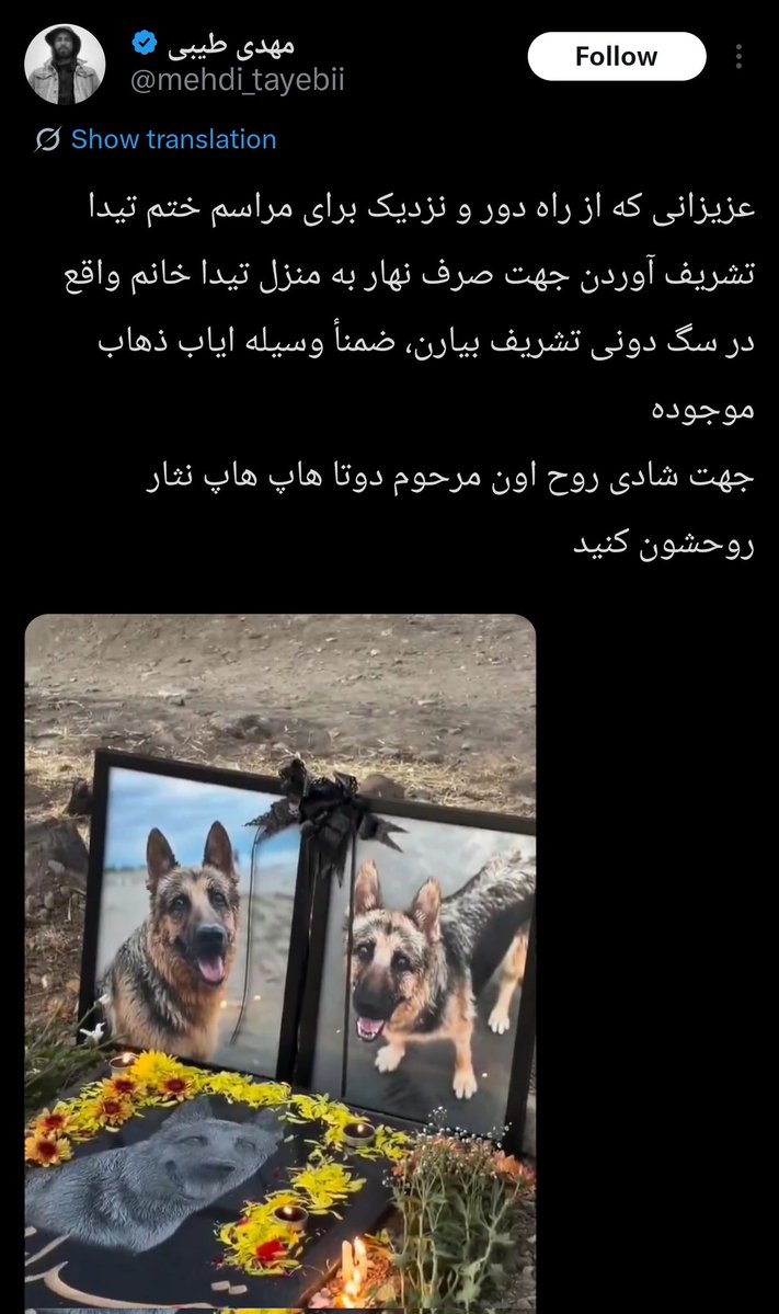 سیاوش (ال چ) tweet media