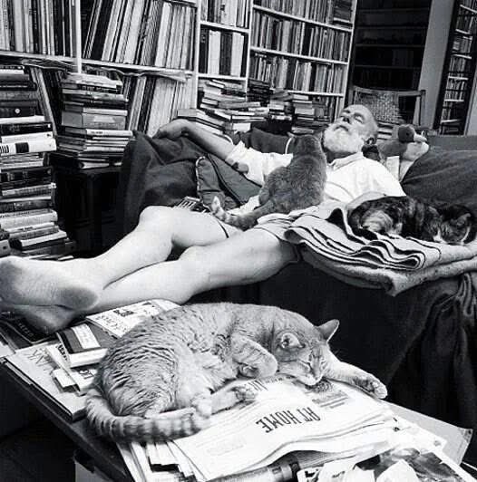 Michael Warburton tweet media