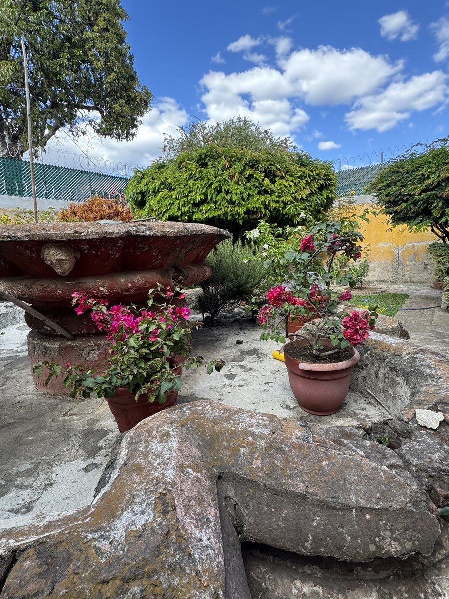 mami del Gabo tweet media