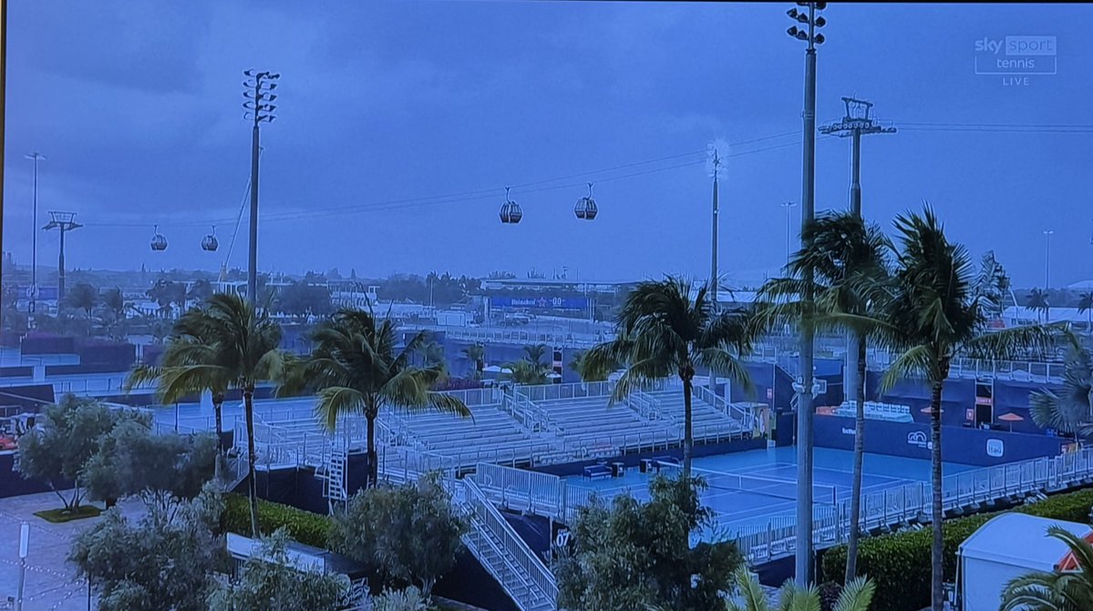 Eleonora Aloise tweet media