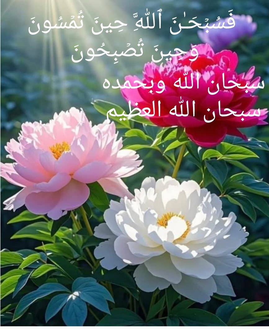 Adel Ahmed Eissa عادل احمد مصطفى عيسى (@adelahmedeissa1) on Twitter photo 