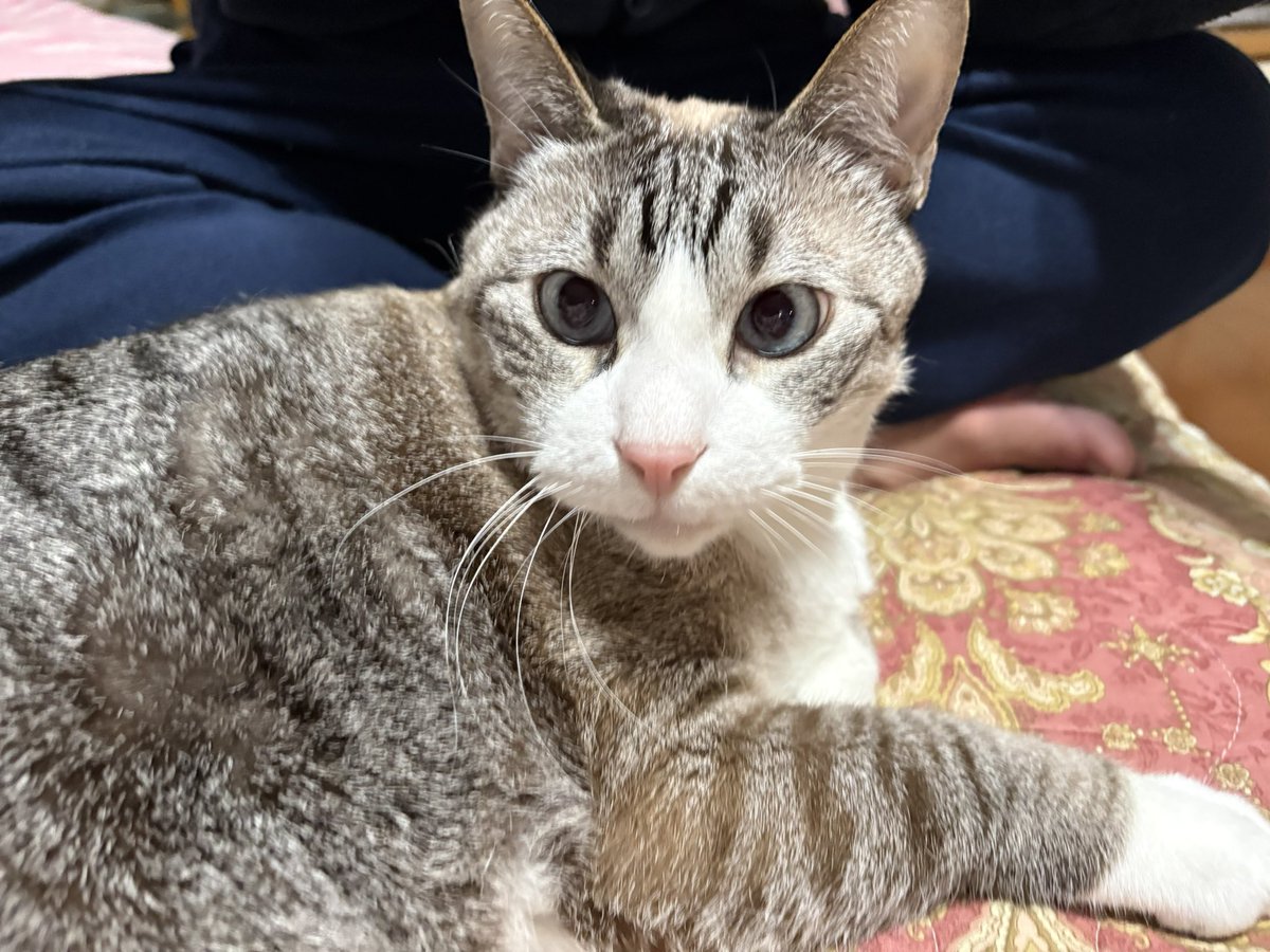 ずんた★もっち tweet media