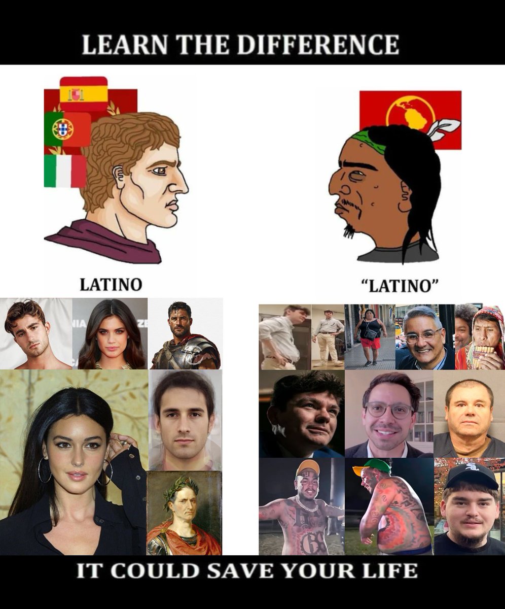 Olmec Head Groyper tweet media