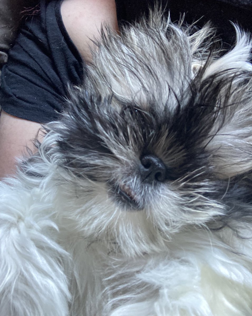 Crowbar Jones 🥘🔪 tweet media