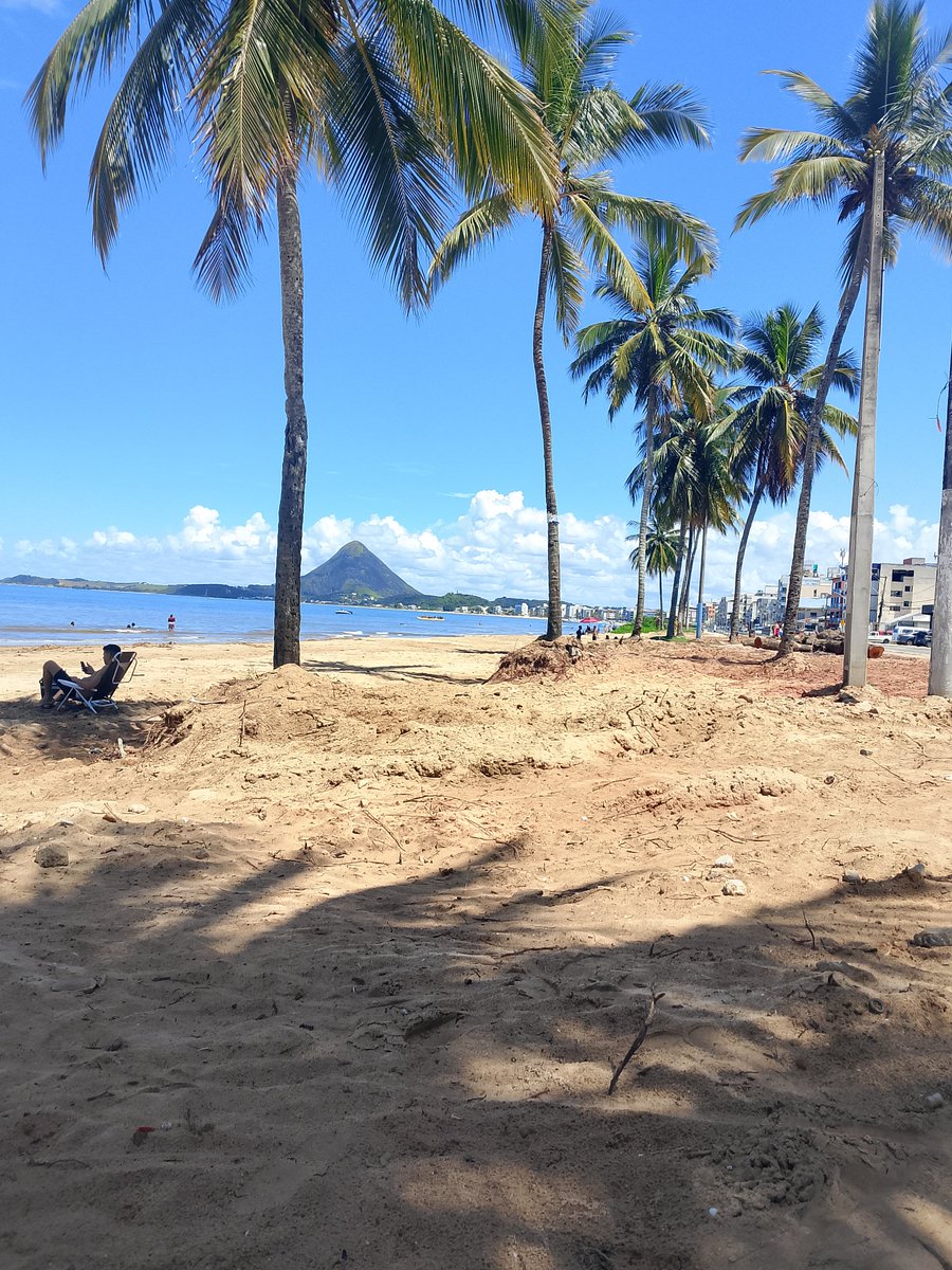 Roque Dog tweet media