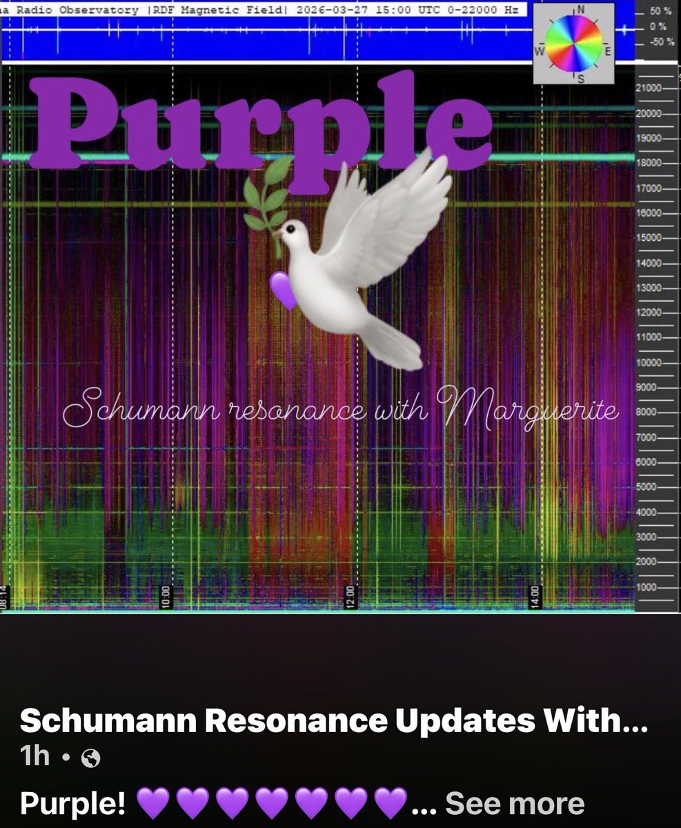 MFK🪶💫🔼 🪞 ⚜️ tweet media