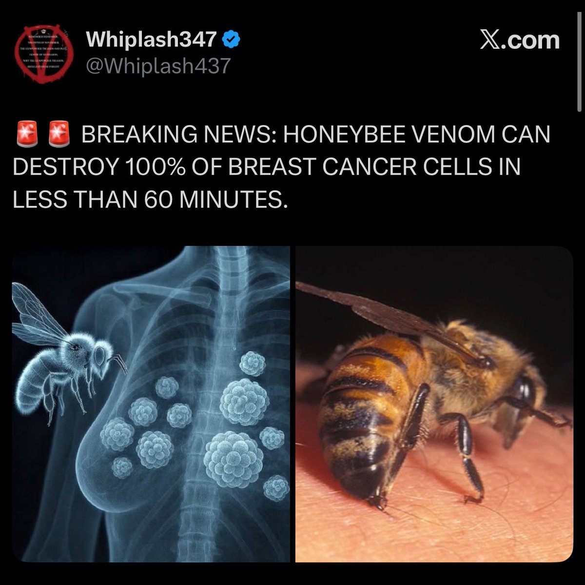 MrBanks💰 tweet media