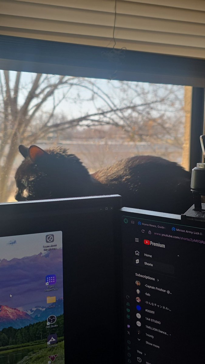 Robin ᕱ ᕱ HOYO ENJOYER tweet media